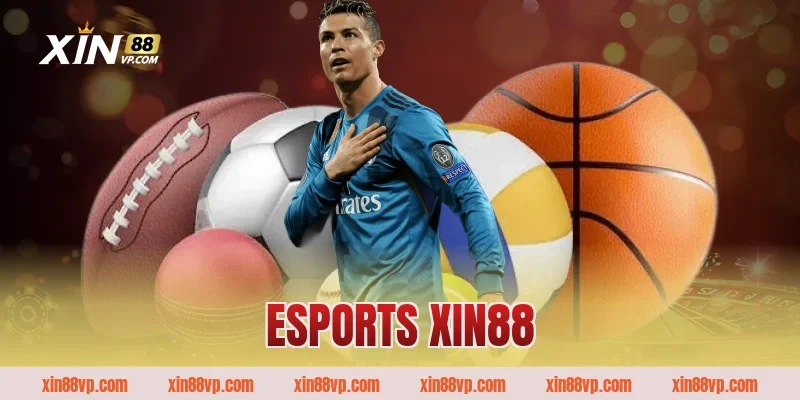 Esports Xin88